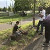 A person kneeling plants a tree as two people look on