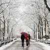 Locust Walk in the snow