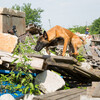 penn working dog climbing through rubble