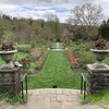 Inside Morris Arboretum.