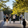 College students walk across bridge framed by foliage