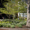 students sitting near class of 1968 garden