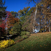 hillside in morris arboretum