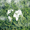 An outline of the globe nested in a lush forest of green trees.
