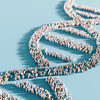 A DNA strand made up of crowds of people.