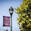 A purple sign labelled "Baltimore Avenue" hanging from a lamppost. The flag includes townhouse/building designs.