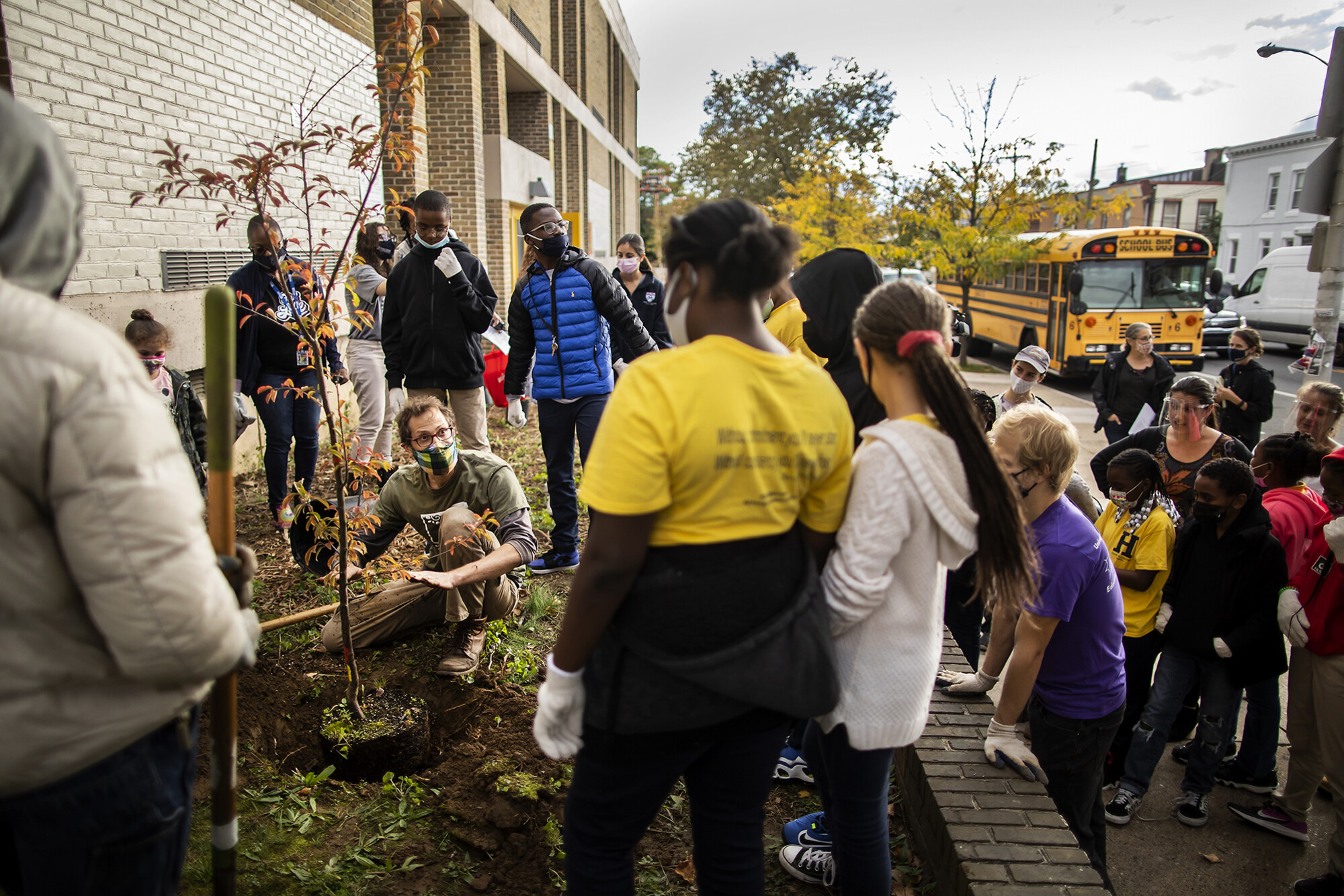 A crowd of students and adults outside of Hamilton Elementary watch a volunteer plant a tree.