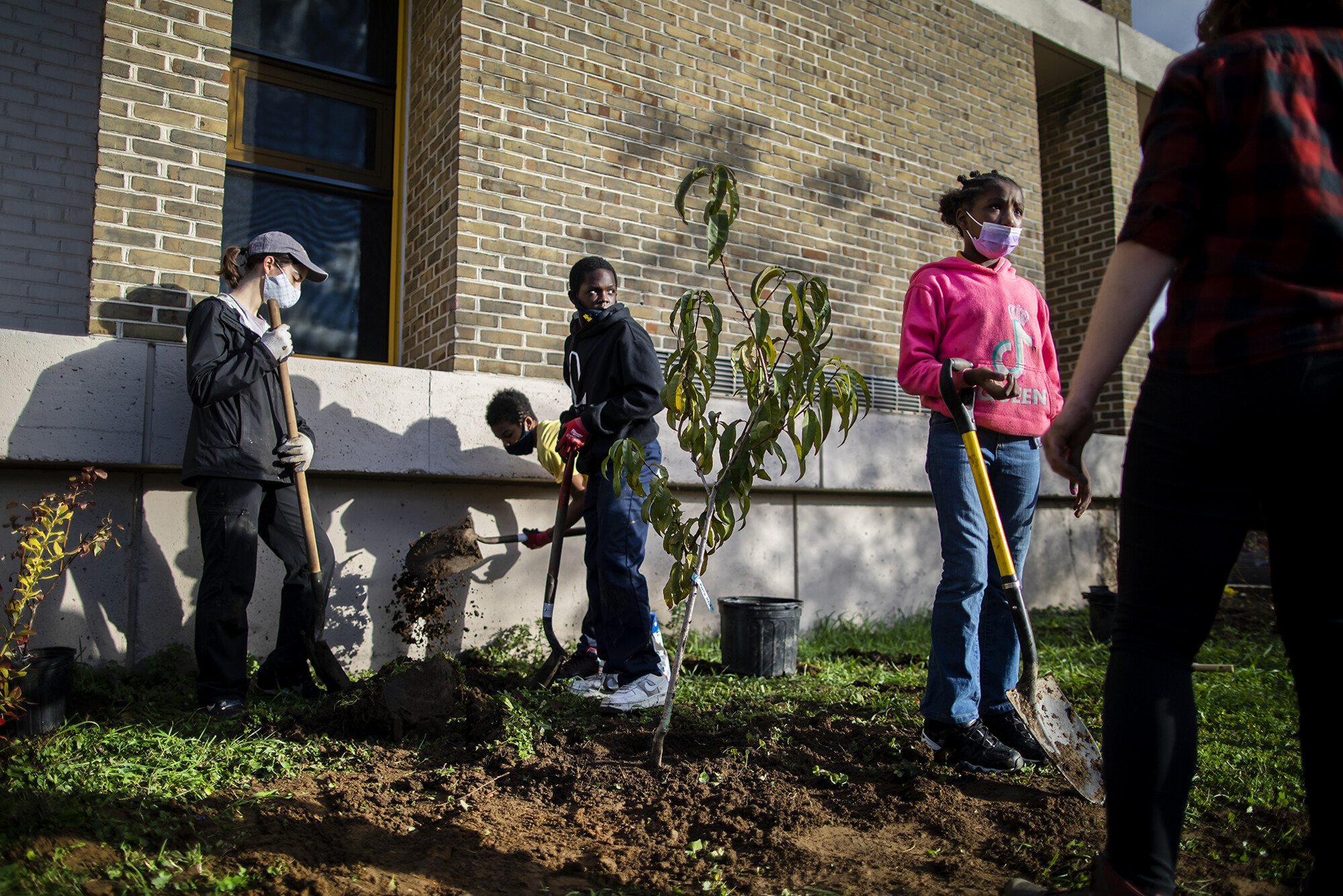 Four students digging in the dirt at Hamilton Elementary.