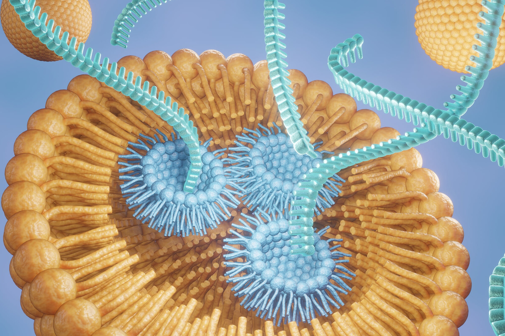 Microscopic view of lipid nanoparticles.