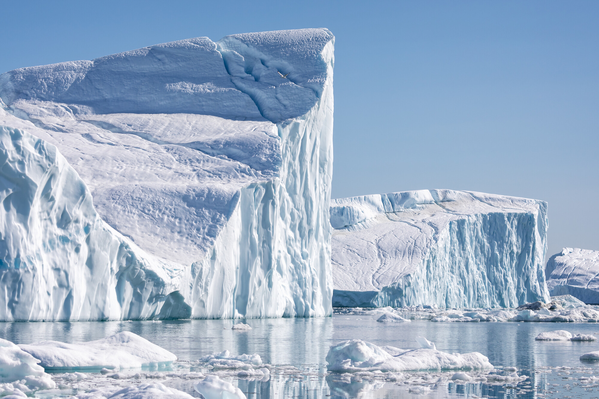 Icebergs in Greenland.