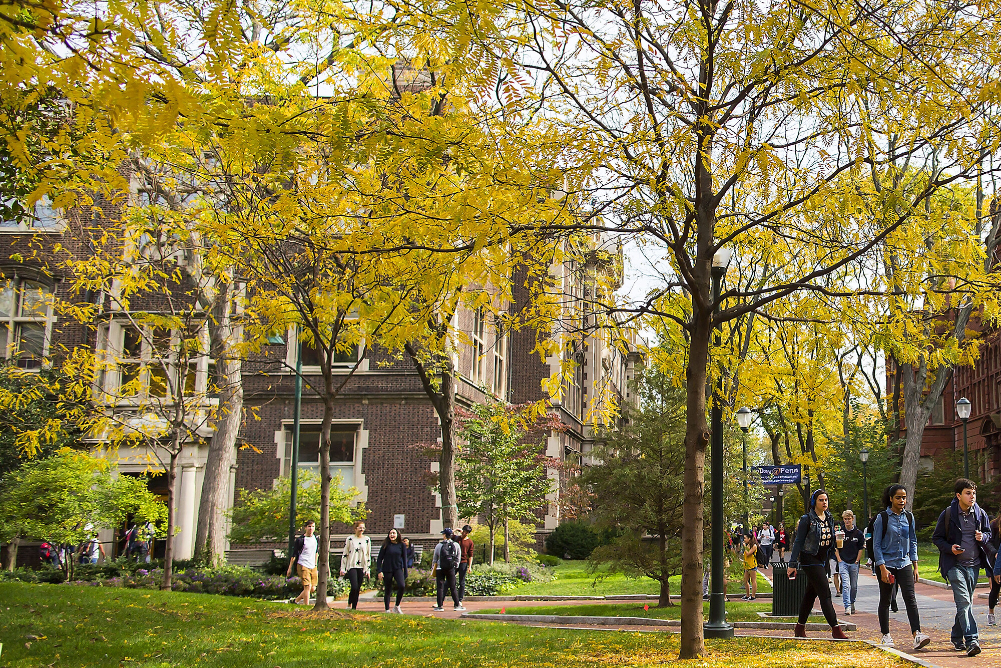 Students walking on Penn’s campus in the fall.