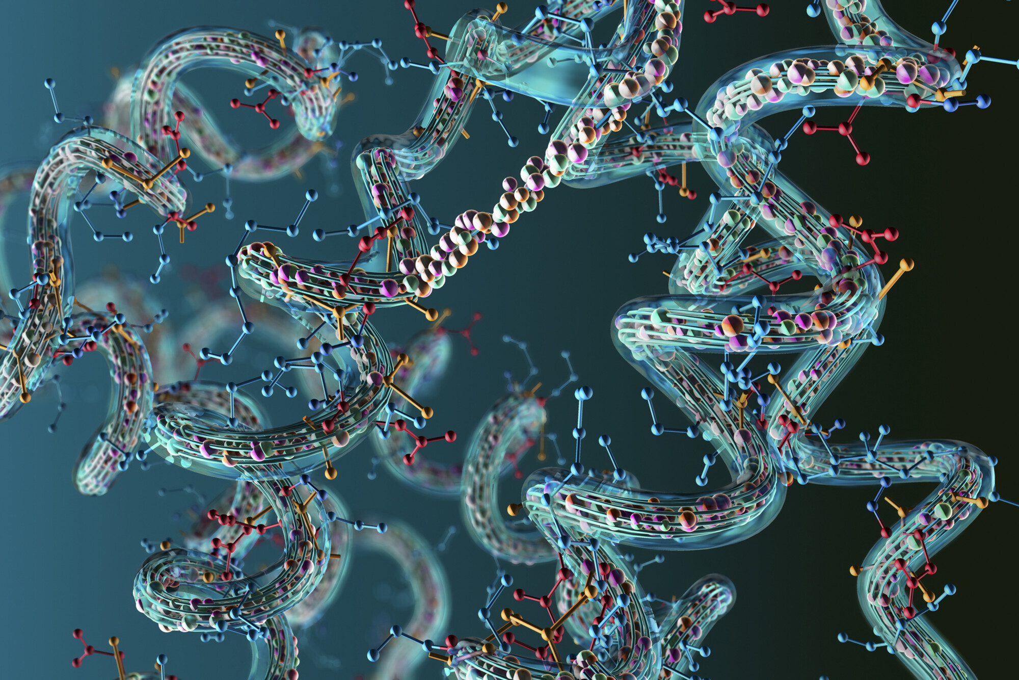 Microscopic view of a string of amino acids.