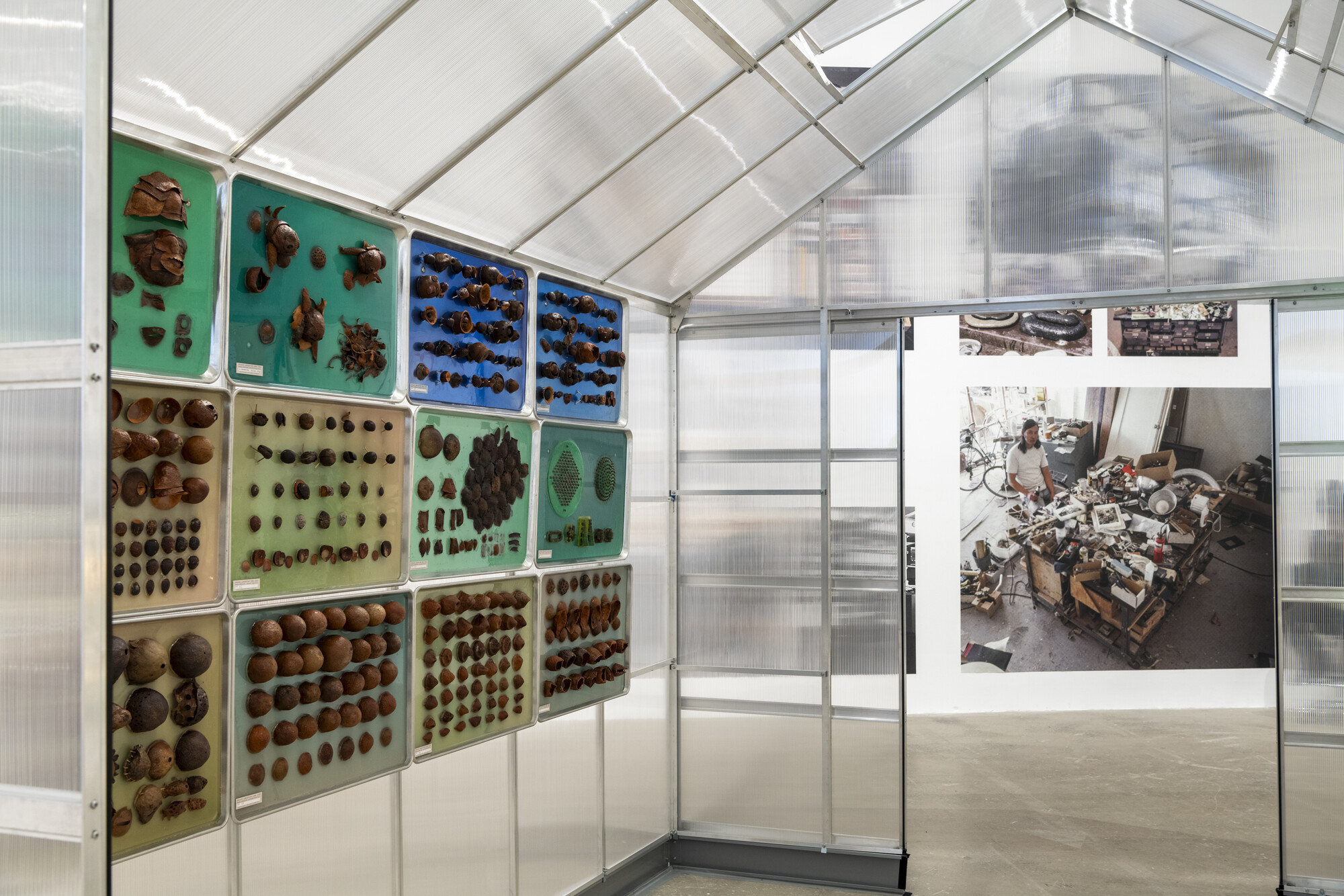 A plexiglass shed with avocado pits arranged on panels on the side