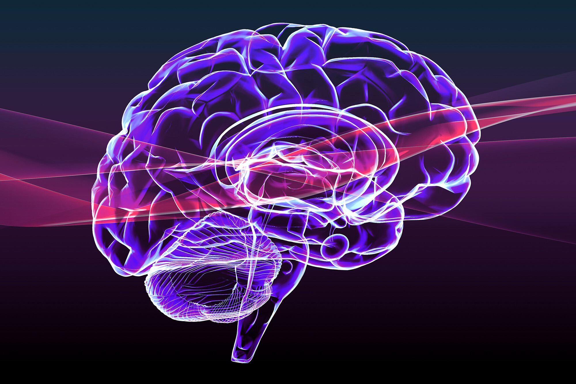 The human brain as though it is being scanned.