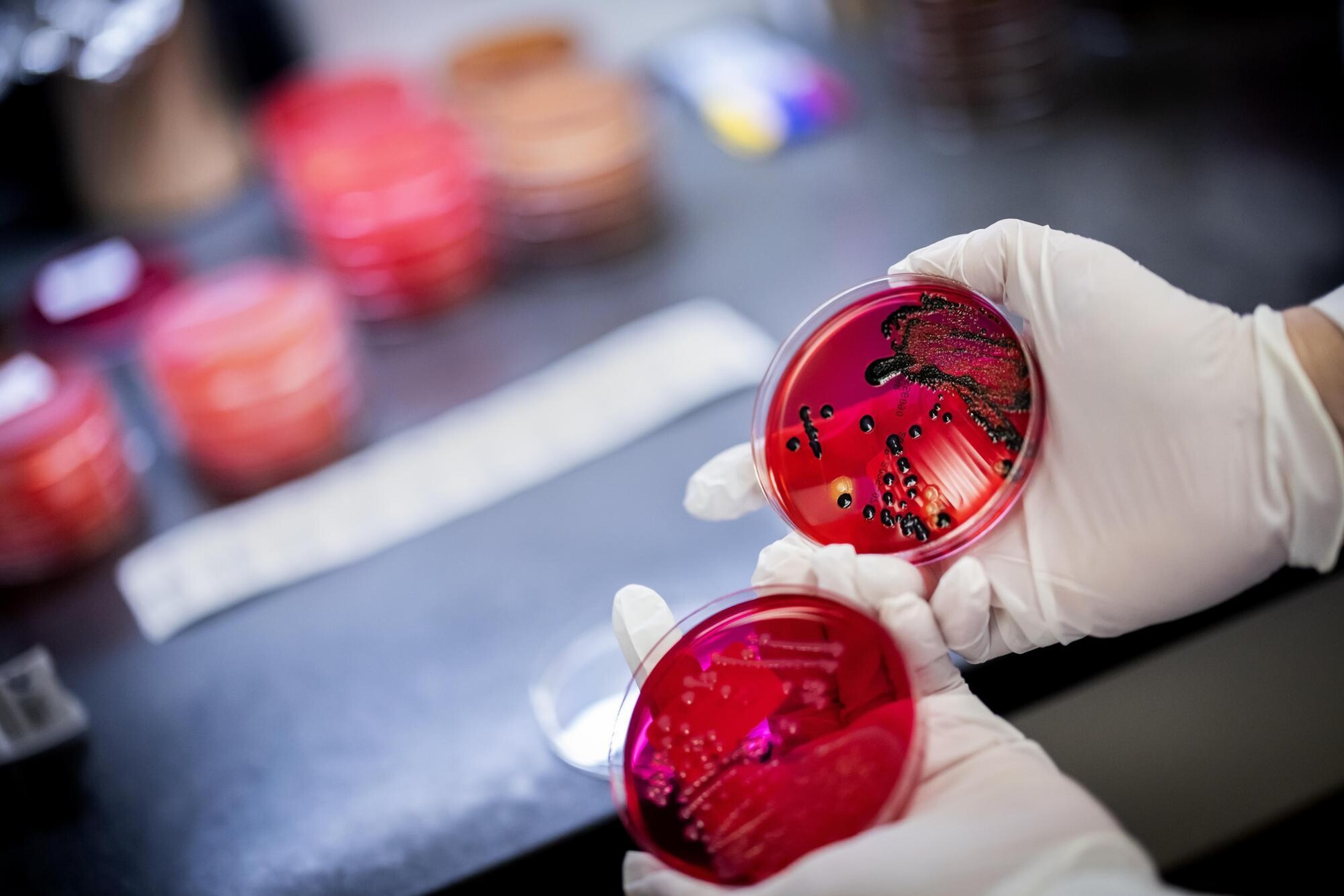 A petri dish in a lab with a sample substance