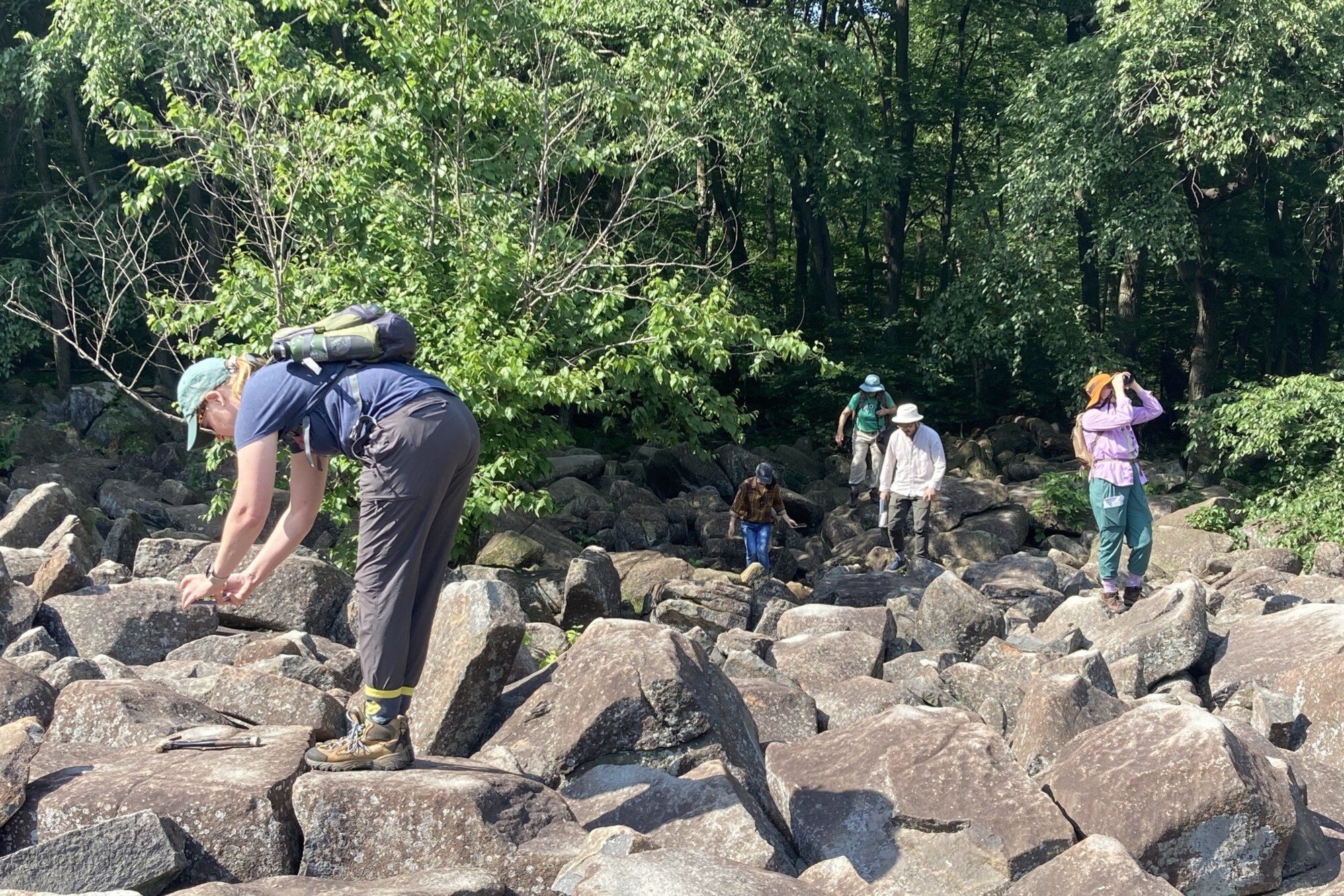 Five people doing nature research in a boulder field.