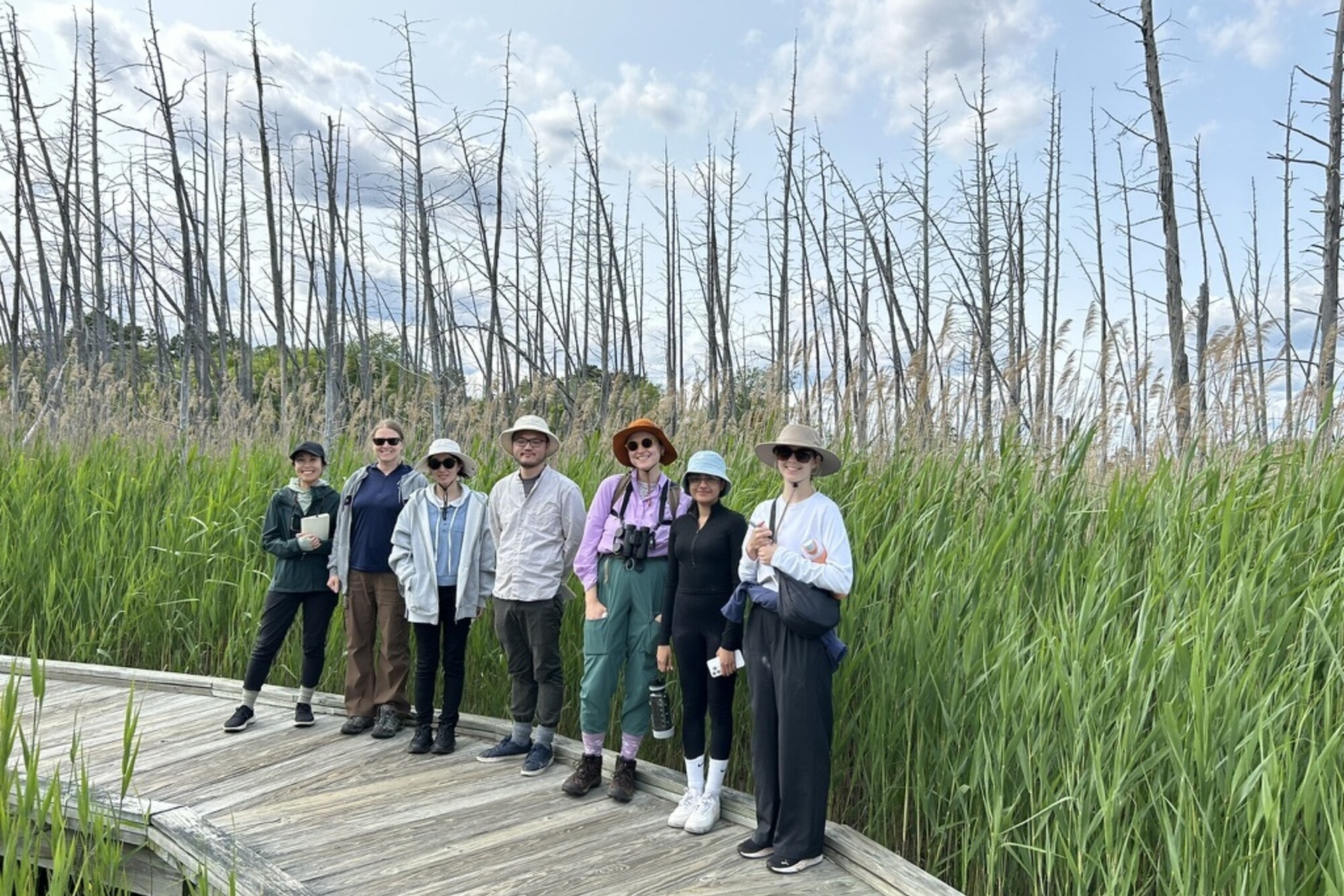 Seven people on an ecology nature walk.