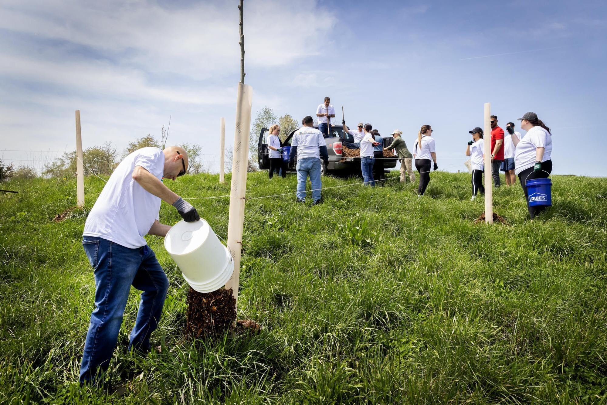 A volunteer pours mulch on a hill as other volunteers with buckets line up for more mulch from the back of a pickup truck.