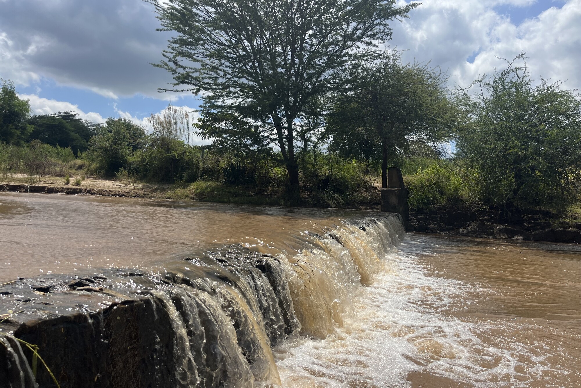 A river in Kenya.