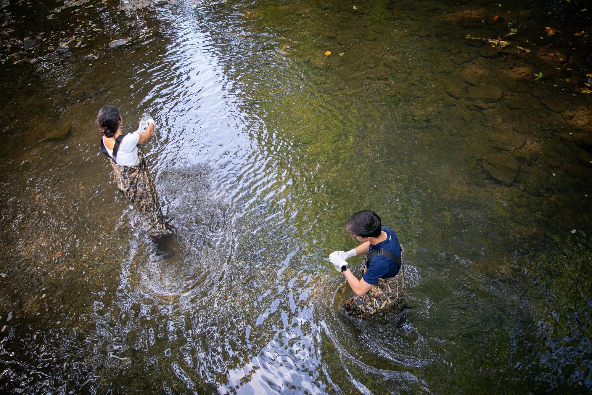 Two people in waders in Cobbs Creek getting water samples.