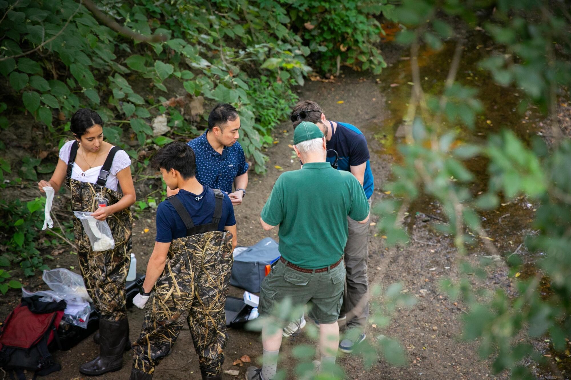 Five people collecting water samples on the banks of Cobbs Creek.
