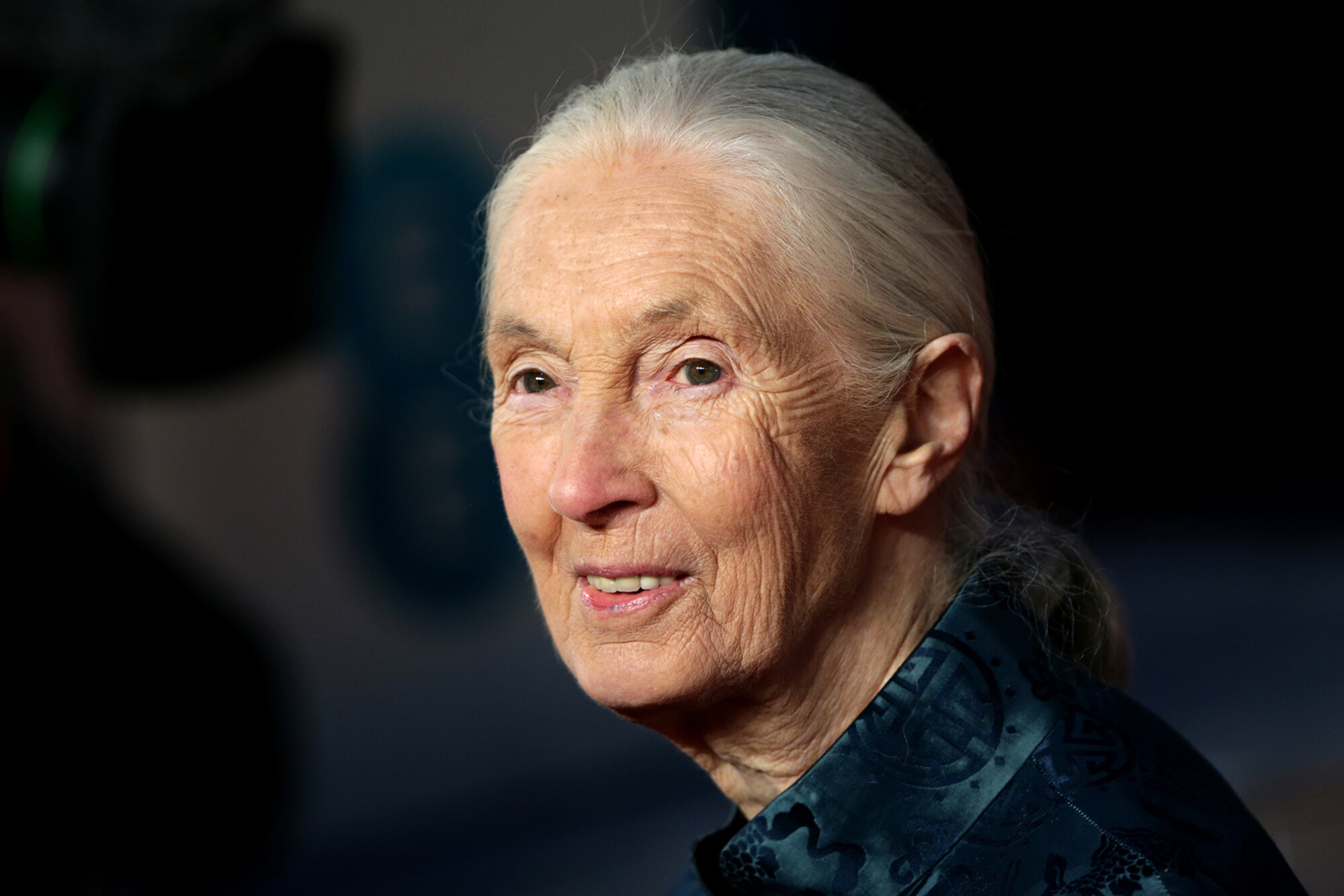 Jane Goodall is seen from a front-facing view.