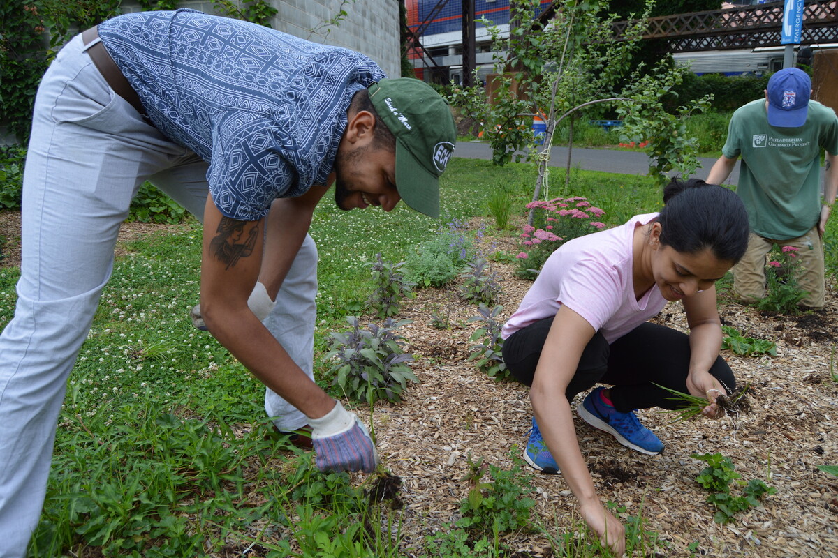 three people work in a garden