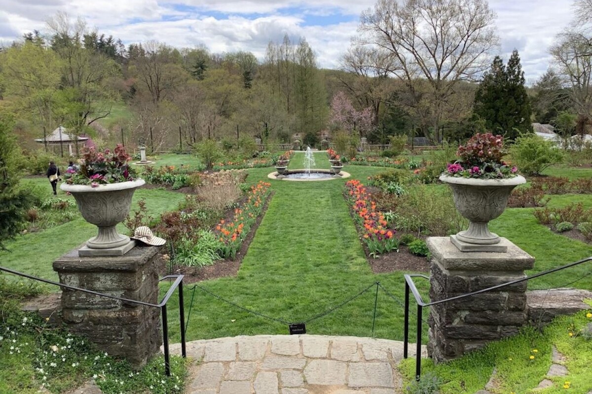 Inside Morris Arboretum.