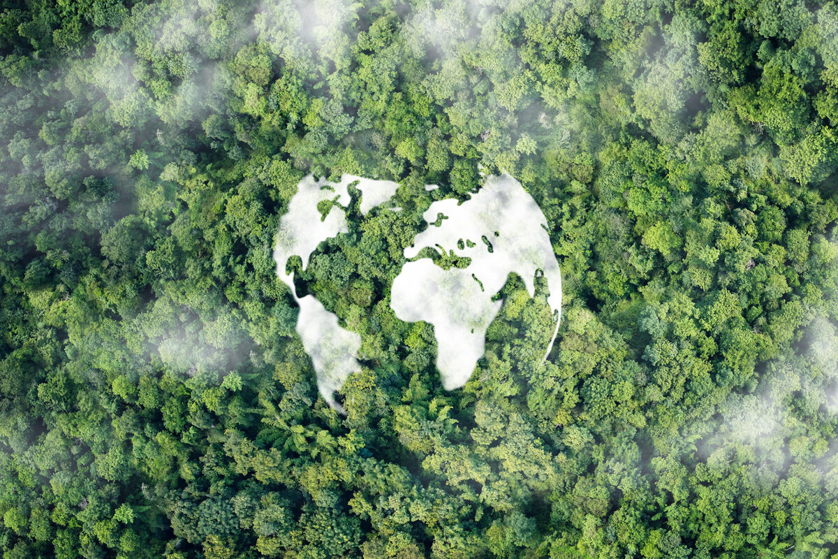 An outline of the globe nested in a lush forest of green trees.