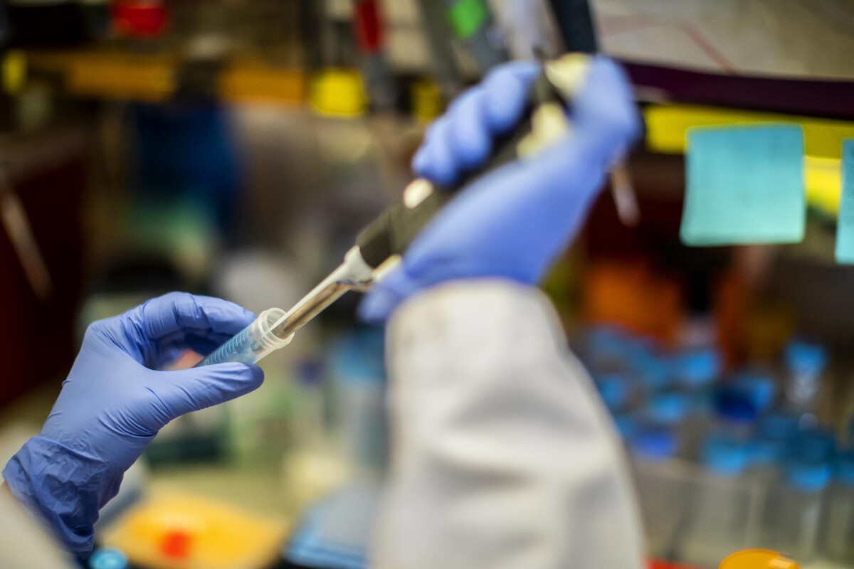 A researcher with latex gloves using a pipette in a lab.