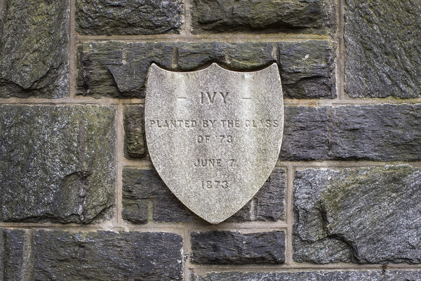 The original Ivy Stone from 1873 and in the shape of a shield is seen on Penn's College Hall.