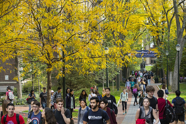 Locust Walk