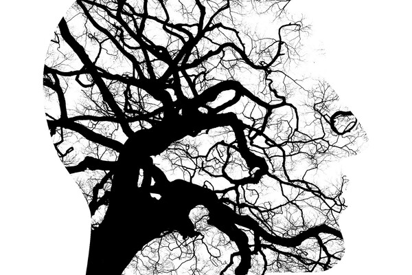 twisting tree limbs inside the shape of a head