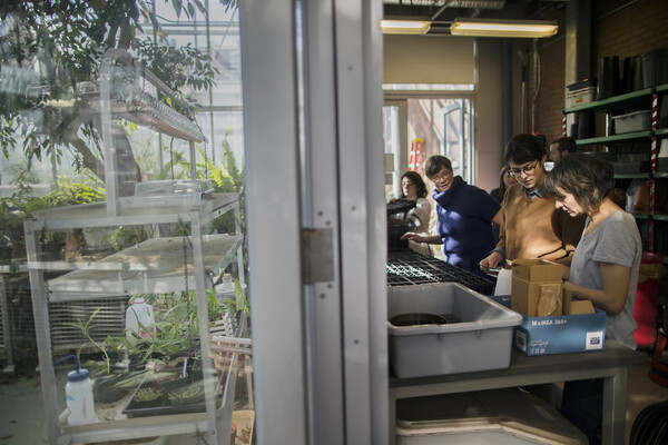 Gardeners planting seeds in a greenhouse