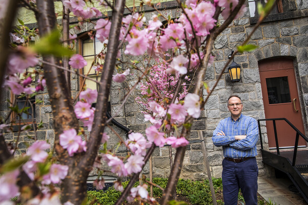 Anthony Aiello Cherry Tree