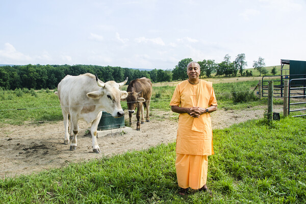 Devamrita Swami on Eco Farm 