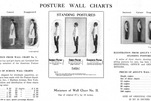 Linker.posture wall charts