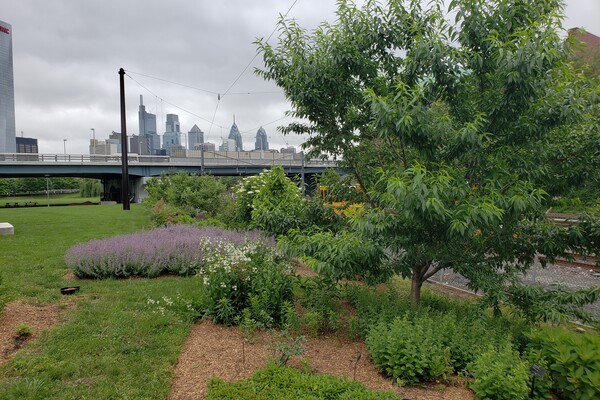 Penn Park Orchard