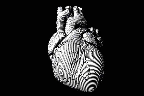 pen and ink heart in black and white