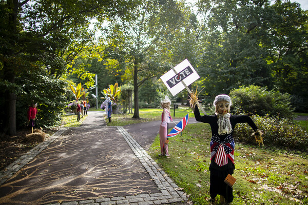 Scarecrow decorated in an American flag and grey wig, with a vote sign and more scarecrows in the background