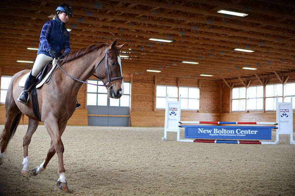 rider on a horse in a large indoor equine facility