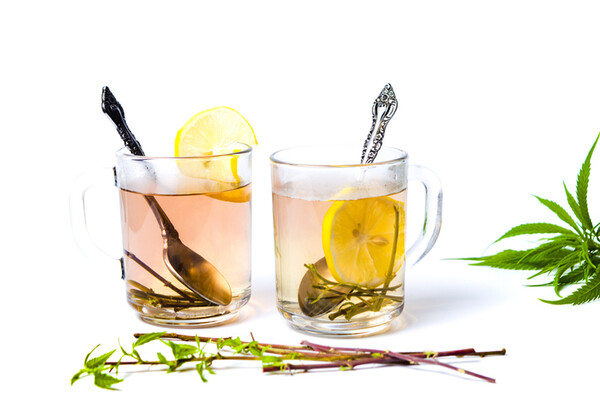 two cocktails in mugs with lemon slices and cannabis plant leaves