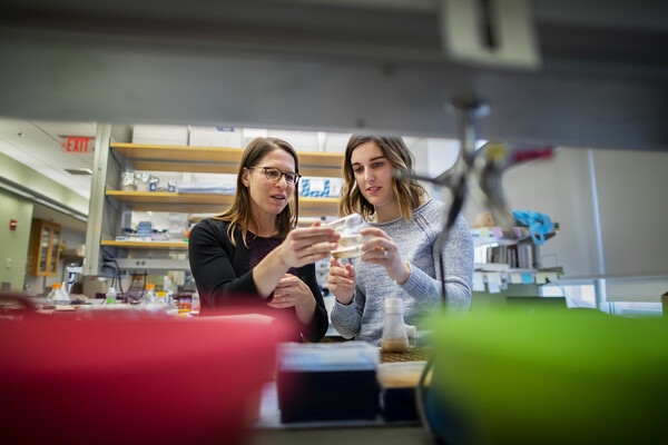 Mia Levine and Cara Brand in the lab