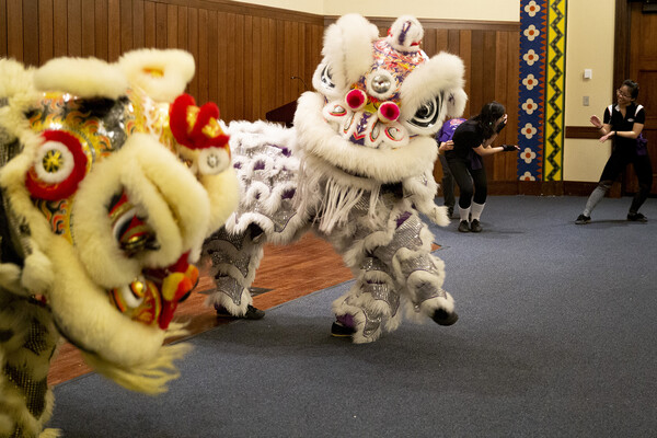 Two lion costumes that each have two students inside during performance.