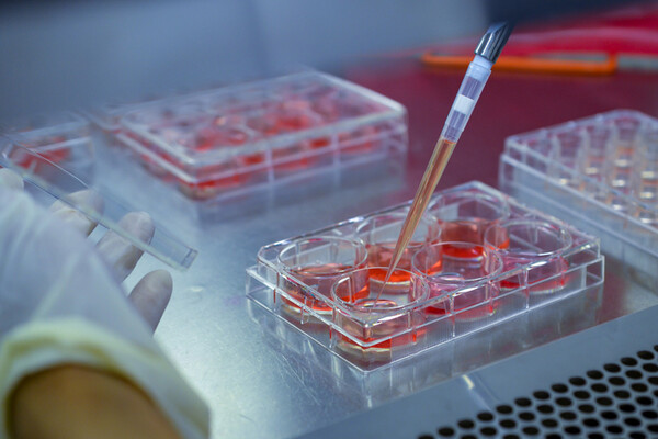 pipette and sample tray