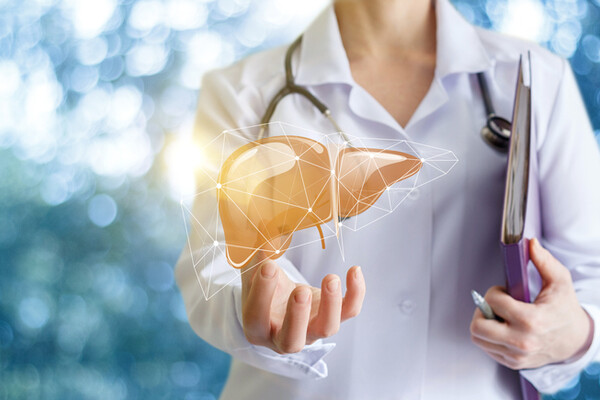 Stock image of medical professional with 3-D model of liver