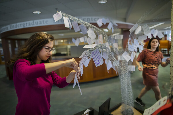 Elana Burack hangs cards on chicken wire tree