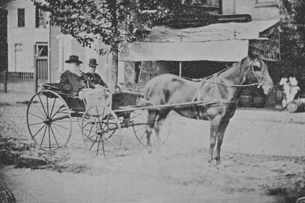 walt whitman on a horse and buggy