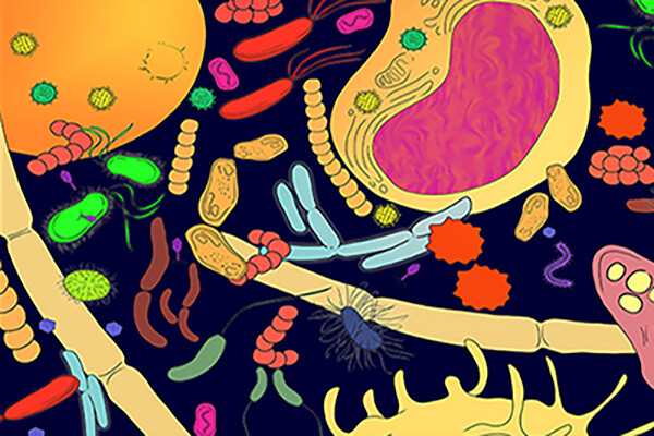 Colorful sketch of microorganisms