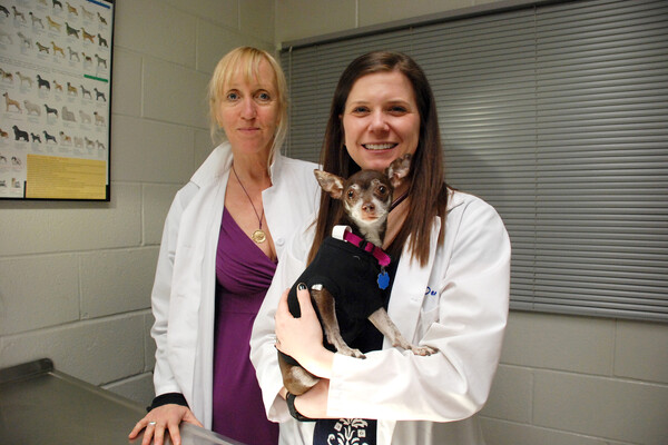 Two veterinarians in white coats pose in an exam room, one holding a small dog wearing a black jacket and a pink collar.